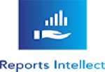 reports-intellect-logo